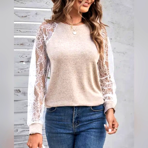 Lace Mesh Sleeve Tawny Crew Neck T-shirt - Picture 4 of 7